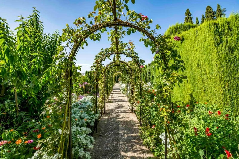 Granada: Alhambra & Gardens Tour w/Nasrid Palaces Option - Palace of Charles V and the Alhambra Forest walk