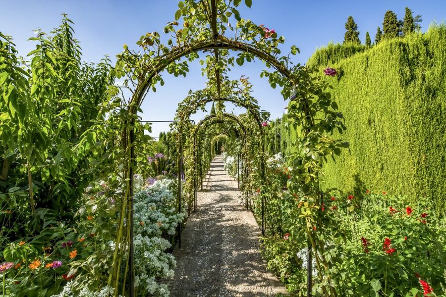 Granada: Alhambra, Nasrid, and Generalife Private Tour - Price of $341 per person: is it good value?