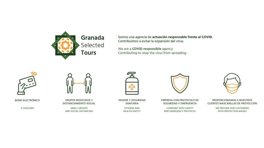 Granada: Fast-Track Alhambra & Nasrid Palaces Guided Tour - Why Fast-Track at the Alhambra Feels Like Buying Time