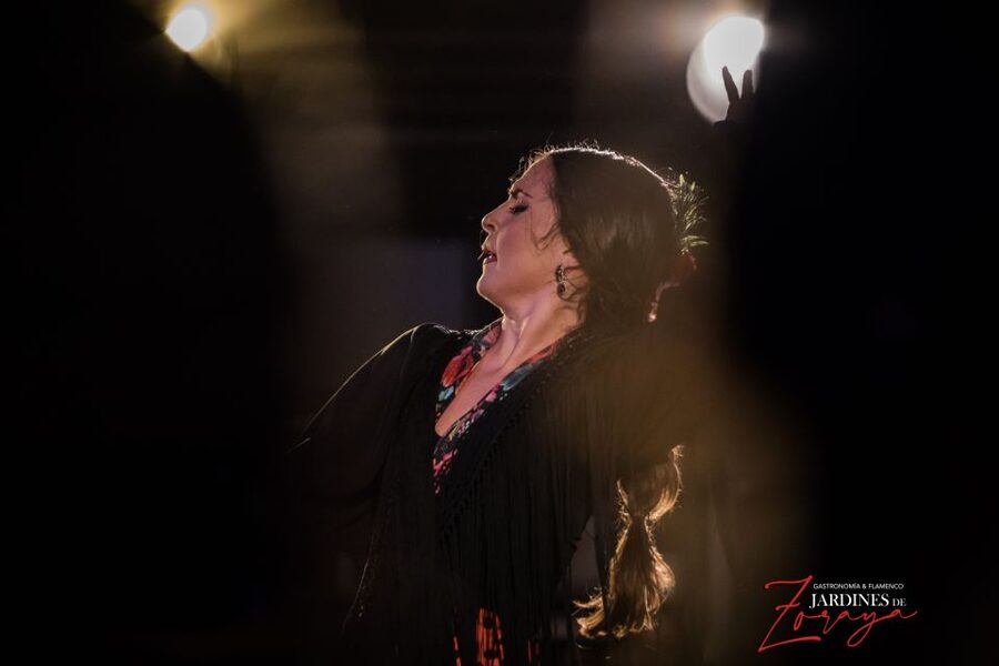Granada: Flamenco Show in Albayzín - Jardines de Zoraya - The 1-hour show: soleá, alegría, and the rhythm machine