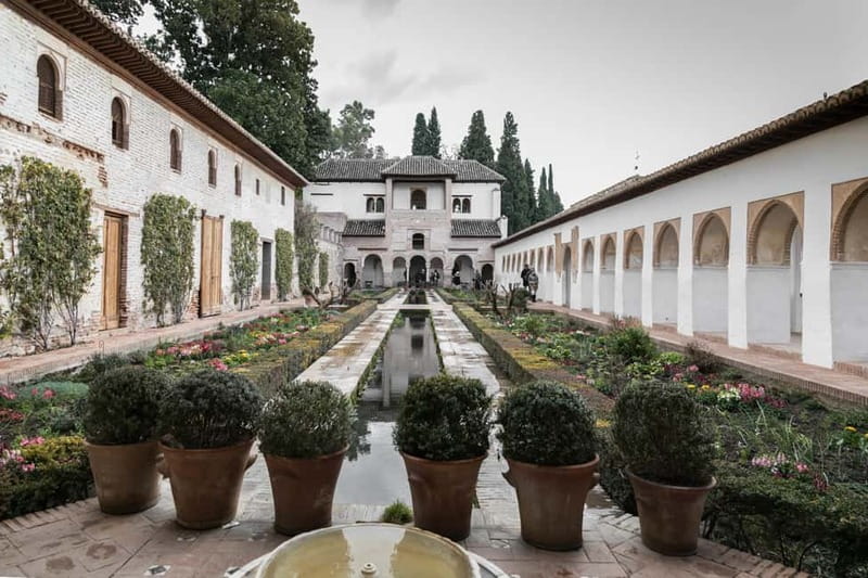 Granada: Last minute ticket Alhambra Tour - Nasrid Palaces: the Court of the Lions and its blue-and-yellow world