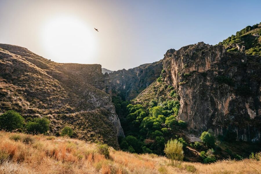 Granada: Los Cahorros de Monachil Canyon Hiking Tour - The full 4-hour experience: timing, distance, and what you’ll do at each stop
