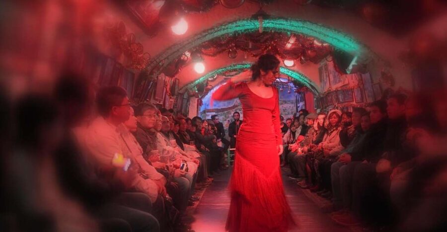 Granada: Sacromonte Caves Flamenco Show - Sacromonte Caves: why this flamenco setting matters