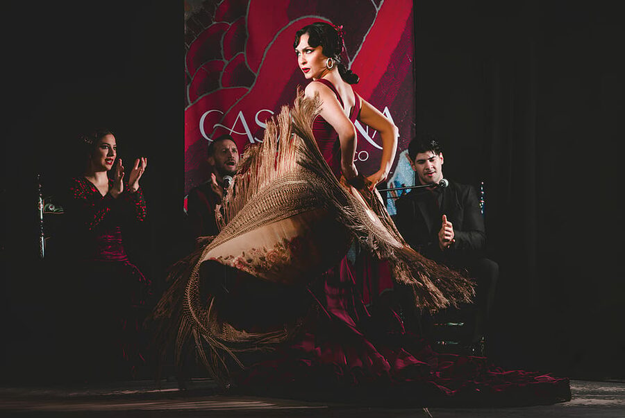 Granada: Traditional Flamenco Show at Tablao Casa Ana - Inside the Tablao: Seats, Sound, and the Curtain Reveal