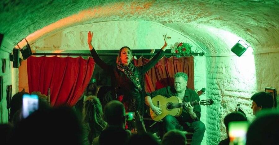 Granada: Traditional Flamenco Show in a Cave Entry Ticket - Key things to know before you go