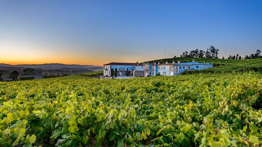 Granbazán Winery: Guided Tour and Wine Tasting - Key takeaways