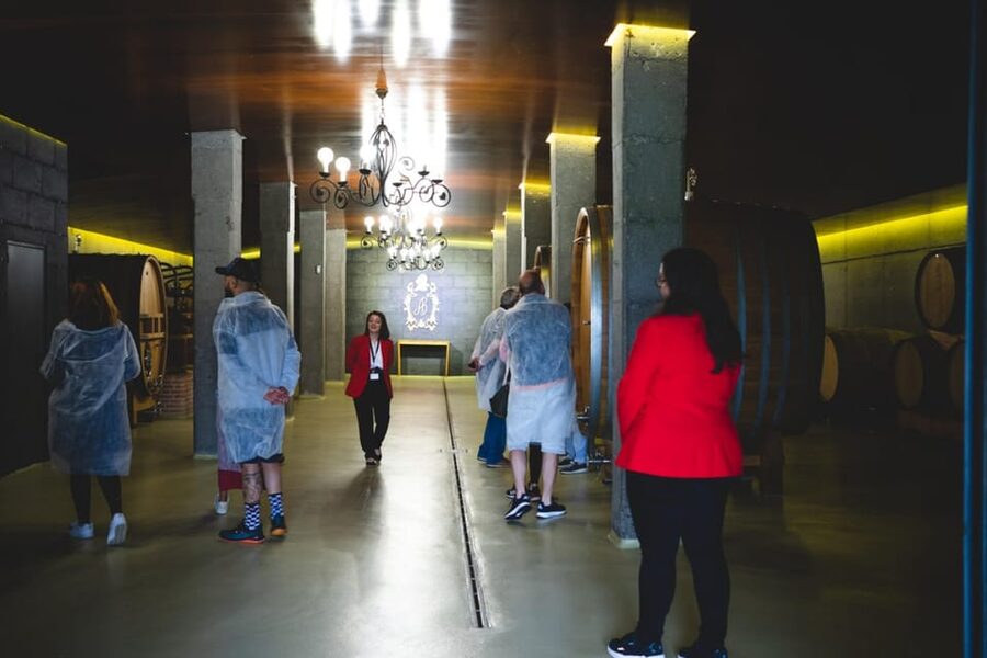 Granbazán Winery: Guided Tour and Wine Tasting - Who this tour suits best, and who might want another option