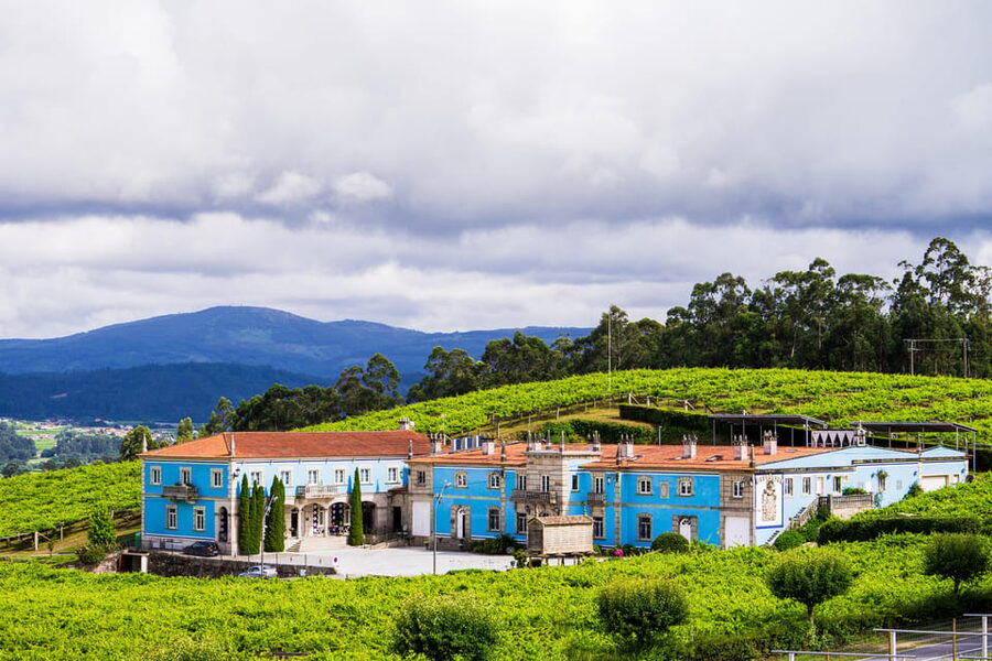 Granbazán Winery: Guided Tour and Wine Tasting - The vineyard stroll, why it is more than pretty pictures
