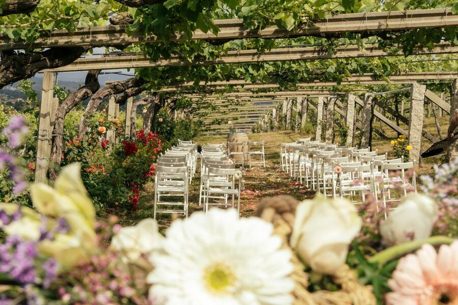 Granbazán Winery: Guided Tour and Wine Tasting - The tasting of 4 wines plus traditional Galician aperitivos