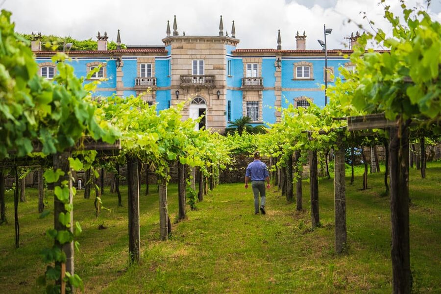 Granbazán Winery: Guided Tour and Wine Tasting - Entering the guided tour, from vineyards to the production area