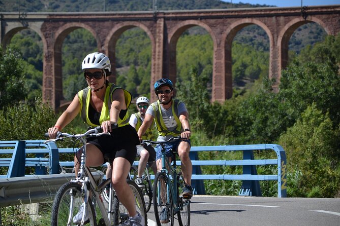 Half Day Cycling Tour from Salou - What’s included (and what you should plan for)