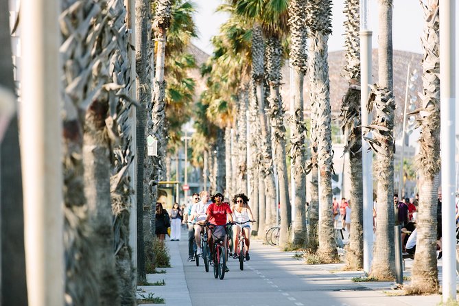 Highlights & Hidden Spots of Barcelona Bike Tour w/ Local Guide - The ride plan: flat cycling, bike paths, and safety focus