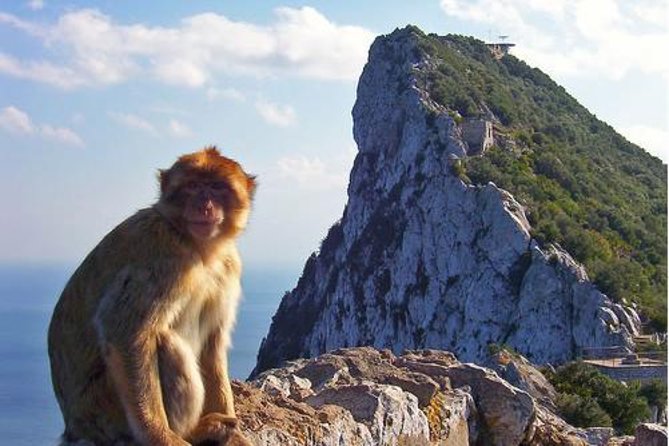 Historic Gibraltar Rock and St Michael's Cave Tour from Seville - St. Michael’s Cave: Limestone Formations and the Cave Light Show