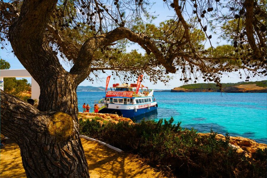 Ibiza: Beach Hopping Cruise w/ Paddleboard, Food, & Drinks - What You Get for the Money at $81 Per Person