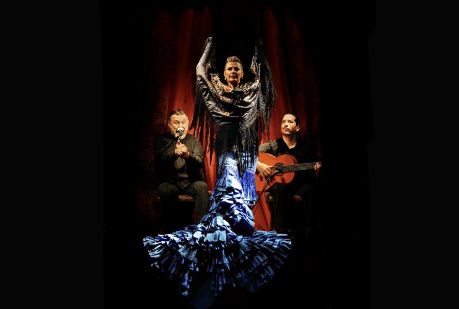 Intimate Authentic Flamenco Show in Barcelona at Casa Sors - Soundproof Studio Seats and Studio-Quality Sound