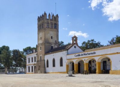 Jerez: Bodegas Fundador Guided Tour with Tasting Session