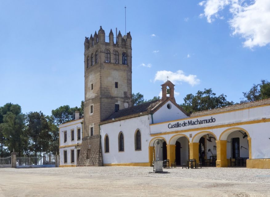 Jerez: Bodegas Fundador Guided Tour with Tasting Session - The Museum Stop and the Fundador Brand Story