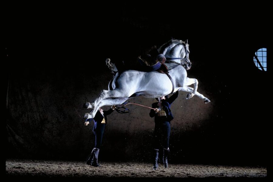 Jerez de la Frontera: Andalusian Horse Dance and Museums - Key things to know before you go