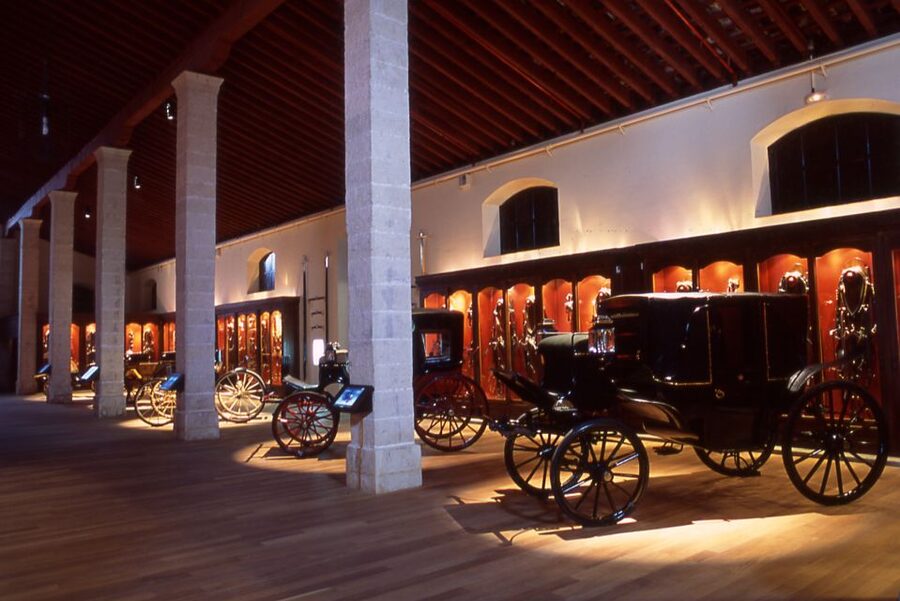 Jerez de la Frontera: Andalusian Horse Dance and Museums - Who should book this show and museum combo