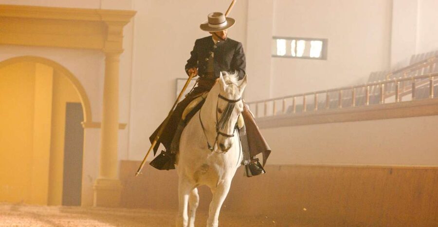 Jerez de la Frontera: How the Andalusian Horses Dance - Key things to notice before you go
