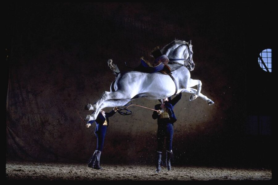 Jerez de la Frontera: How the Andalusian Horses Dance - Carriage driving: harness skills and coachmen control