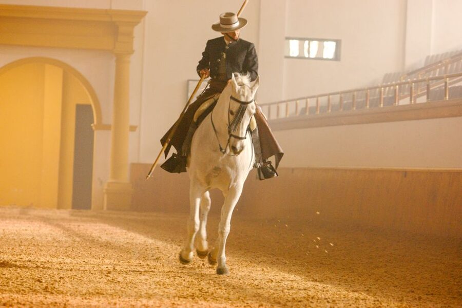 Jerez de la Frontera: How the Andalusian Horses Dance - The closing carrousel: horses in unison