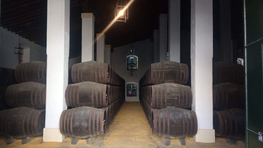 Jerez de la Frontera: Sherry Winery Tour with Tasting - Visitor Center Exhibits: How Sherry Production Becomes Understandable