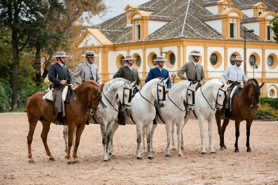 Jerez: Royal Andalusian School of Equestrian Art Admission - Saddlery Workshop and Harness Repair: The Craft Behind the Performance
