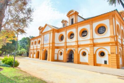 Jerez: Royal Andalusian School of Equestrian Art Admission