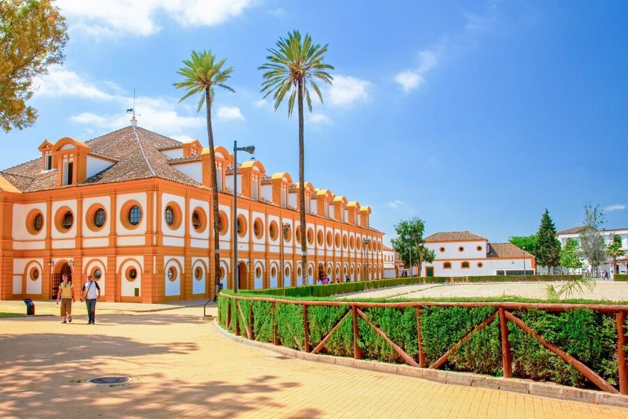 Jerez: Royal Andalusian School of Equestrian Art Admission - Octagonal Stables and the Tack Room: Where Daily Equipment Lives