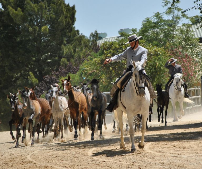 Jerez: Yeguada de la Cartuja Carthusian Horses Tour - The horses you came for, plus care you can see
