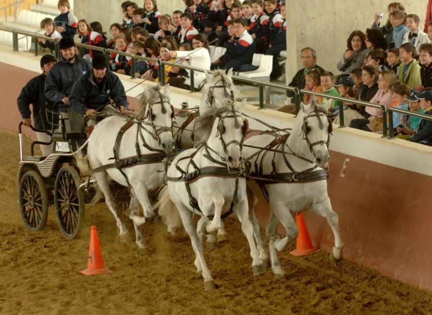 Jerez: Yeguada de la Cartuja Carthusian Horses Tour - Who should book this, and who might skip it