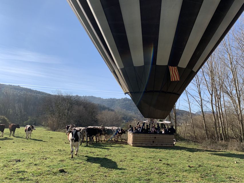 La Garrotxa Volcanoes Half-Day Hot Air Balloon Flight - Comfort, Reduced Mobility Baskets, and Who This Suits