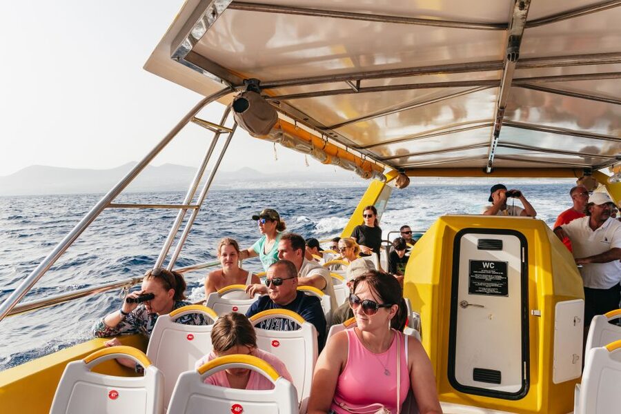 Lanzarote: 2.5-Hour Sunset and Dolphins Cruise - Wildlife Chances in the Atlantic: Dolphins, Whales, and Real Sea Behavior