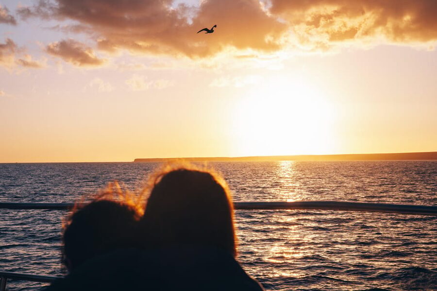 Lanzarote: Dolphin-Watching Sunset Cruise with Transfers - Getting There: Transfers That Keep Your Evening Simple