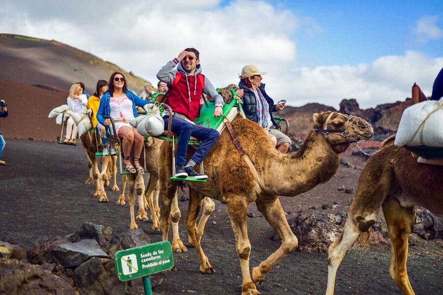 Lanzarote: Full-Day Island Highlights Tour - La Graciosa cliff views, Guinate, and the north-coast “wow” moments