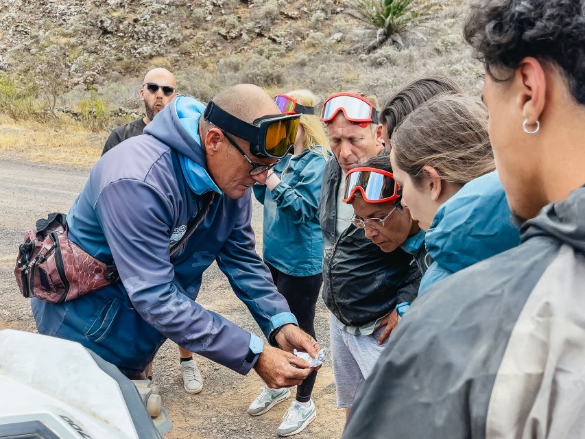 Lanzarote: Guided Off-Road Volcano Buggy Tour - Quick hits before you go