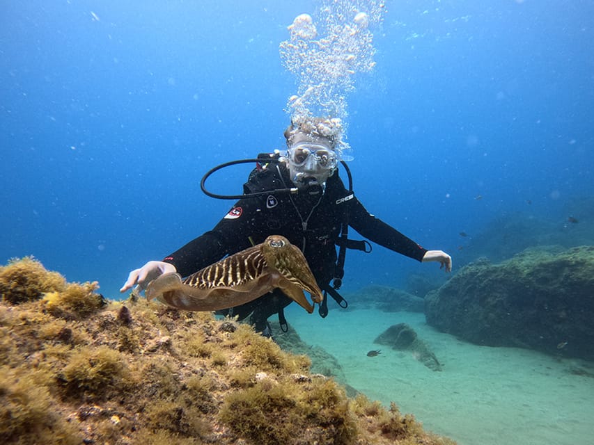 Lanzarote: Intro to Diving Experience for Beginners - What you do before you enter the water