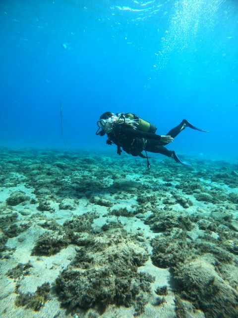 Lanzarote: Intro to Diving Experience for Beginners - Photos and videos: a smart extra for a first-time moment