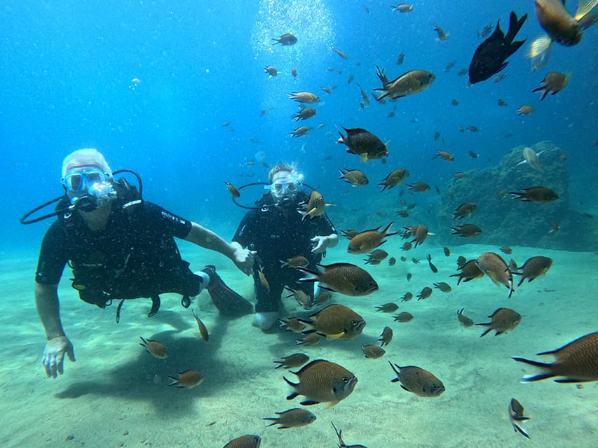 Lanzarote: Intro to Diving Experience for Beginners - Gear is included, and that changes how you feel