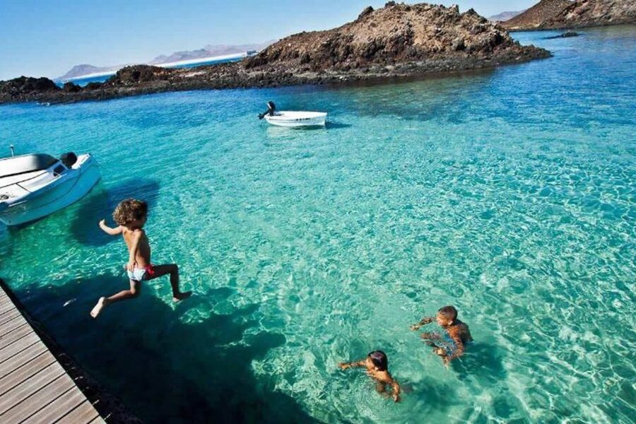 Lanzarote: Lobos Island Half-Day Dolphin Watching Trip - Comfort Level: Waves, Safety Attention, and Who It Fits