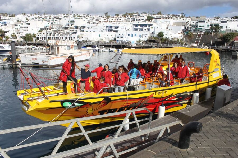 Lanzarote: Lobos Island Half-Day Dolphin Watching Trip - Price and Value of an $85 Dolphin and Lobos Combo