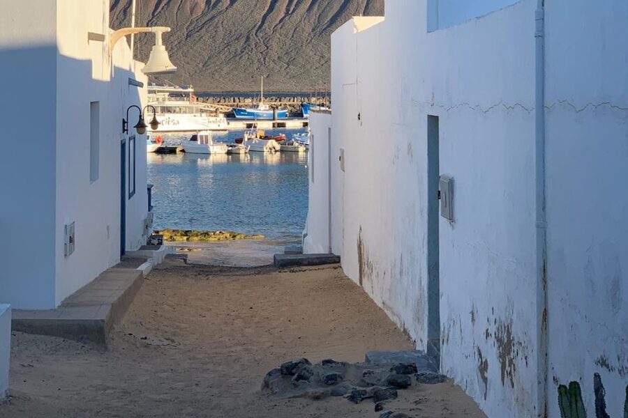 Lanzarote: Northern Delights Tour - Group size, guide style, and the language mix