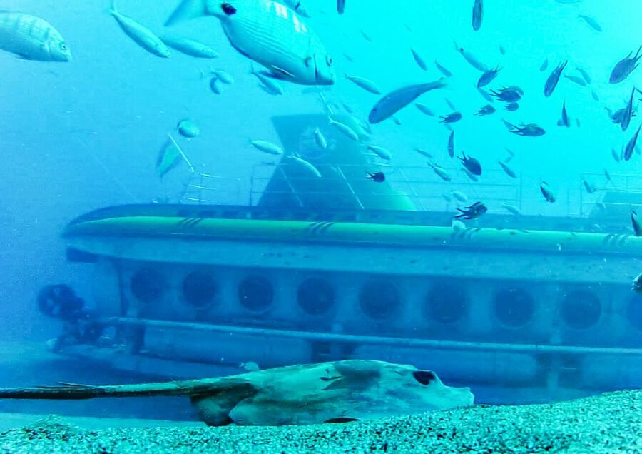 Lanzarote: Real Submarine Dive - Price and value: is 77 USD fair for this specific experience?