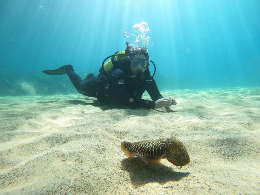 Lanzarote: Scuba Diving for Beginners - 1 Dive - Safety briefing and equipment: the part you should not skip
