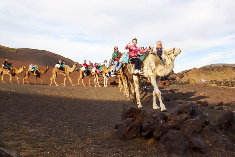 Lanzarote: Timanfaya Park and Jameos del Agua Full-Day Tour - Timanfaya And Jameos Del Agua In One Day, The Real Reason It Works
