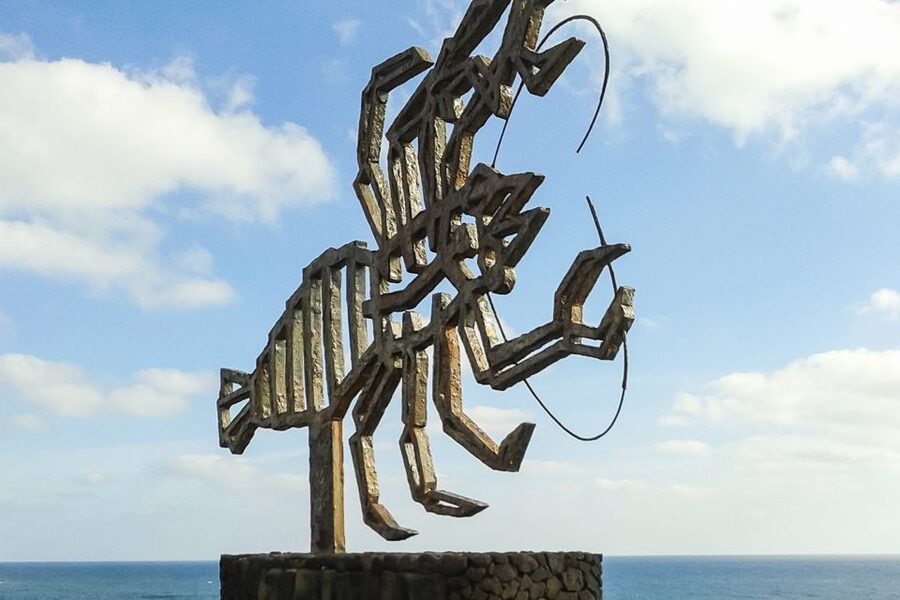 Lanzarote: Timanfaya Park and Jameos del Agua Full-Day Tour - Lunch Time And What To Pack So You Are Not Rushed
