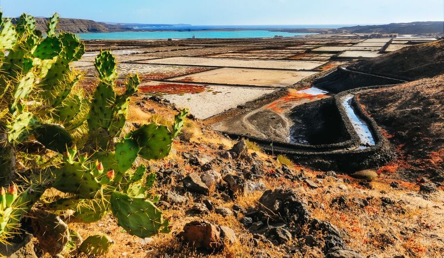 Lanzarote: Volcanos of Timanfaya and Caves Tour with Lunch - Las Salinas de Janubio and Los Hervideros: the lava coast arrives first