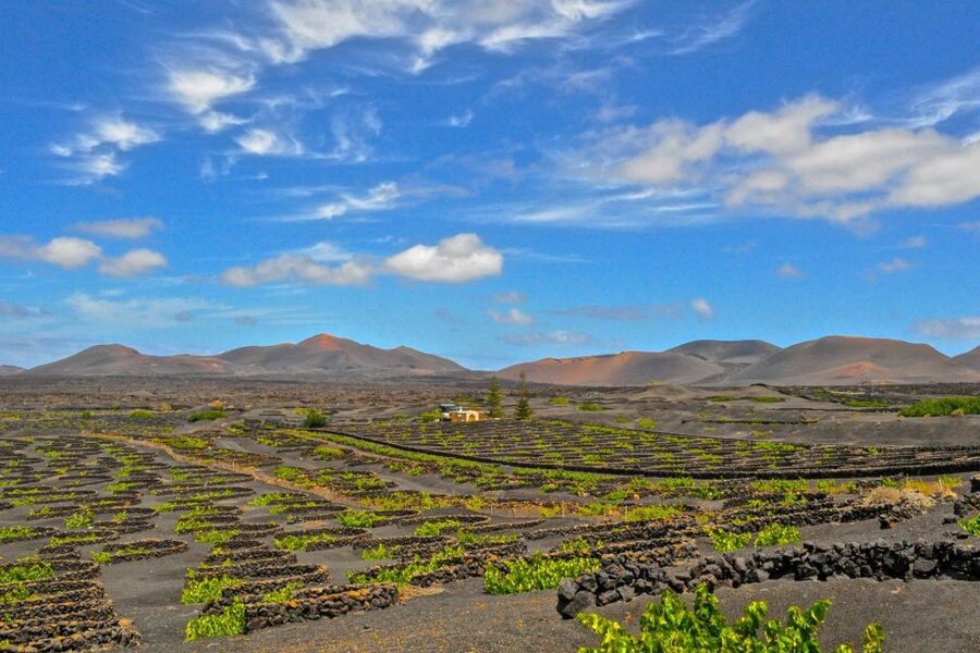 Lanzarote: Volcanos of Timanfaya and Caves Tour with Lunch - Pickup, ride time, and how the day actually flows
