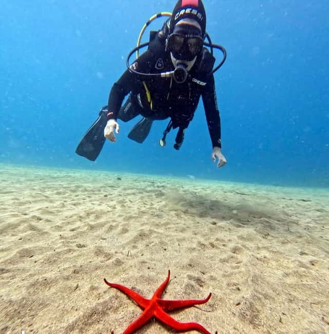 Lanzarote Your First Scuba Diving Experience - Rules You’ll Need to Follow (So the Ocean Stays Respectful)